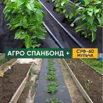 Аксессуары и инструменты для садоводства