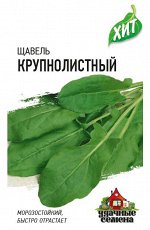 Щавель Крупнолистный 0,5 г ХИТ х3