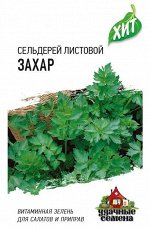 Сельдерей листовой Захар 0,1 г ХИТ х3