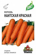 Морковь Нантская красная 1,5 г ХИТ х3