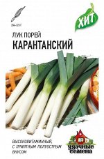 Лук порей Карантанский  0,2 г ХИТ х3