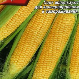 Кукуруза сахарная КУБАНСКИЙ САХАРНЫЙ 210 (5 гр)