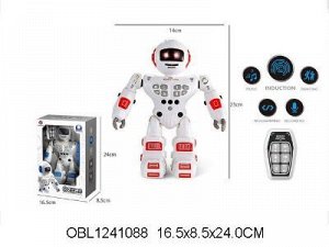 9935-1 робот на р/у, в коробке 1241088
