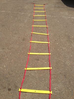 Лестница координационная (12 ступеней, 51х540 см), арт.У792 (Спектр)