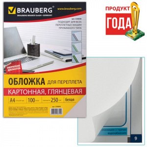 Обложки д/переплета BRAUBERG, КОМПЛЕКТ 100шт, глянцевые, А4, картон 250г/м2, белые, 530840