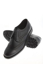 STELS