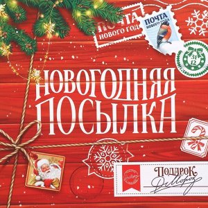Коробка подарочная «Новогодняя посылка», 26.2 х 26.2 х 14 см
