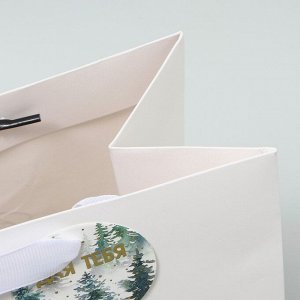 Пакет подарочный новогодний ламинированный, конгревное тиснение «С Новым годом», ML 23 х 27 х 11.5 см
