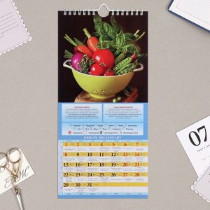 Календарь перекидной на ригеле "Садово-огородный лунный" 2024 год, 16,5х34 см