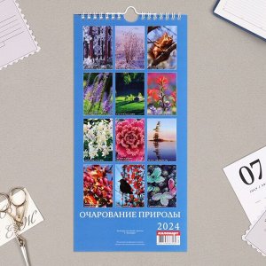 Календарь перекидной на ригеле "Очарование природы" 2024 год, 16,5х34 см