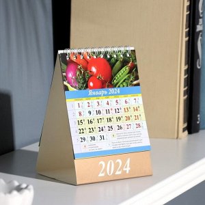 Календарь настольный, домик "Лунный календарь. Сад и орогод." 2024, 10х14 см