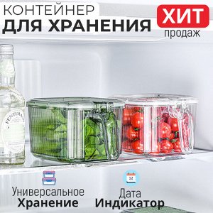 Контейнер для хранения с дата - индикатором / 17 x 15 x 11 см