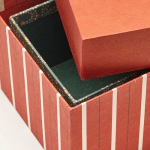 ВИНТЕРФИНТ, подарочная коробка, набор из 2 предметов, смешанные цвета
