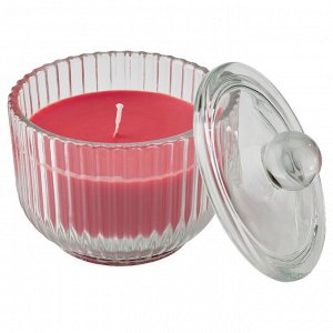 VINTERFINT, ароматическая свеча в стекле, с корицей и сахаром / красная, 20 ч, .