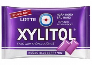 LOTTE Xylitol Blueberry Mint (мята-черника) 11,6 гр., блистер