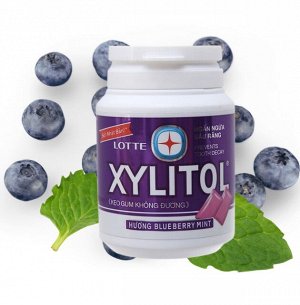 LOTTE Xylitol Blueberry Mint (мята-черника) 55,1 гр., банка