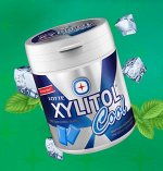 LOTTE Xylitol Cool Mint (прохладная освежающая мята) 55,1 гр., банка