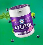 LOTTE Xylitol Blueberry Mint (мята-черника) 55,1 гр., банка