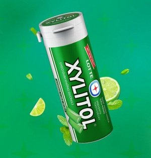 LOTTE Xylitol Lime Mint (мята-лайм) 26,1 гр., мини-банка