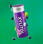 LOTTE Xylitol Blueberry Mint (мята-черника) 26,1 гр., мини-банка