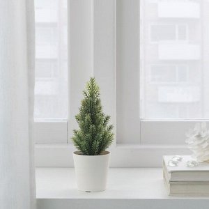 ВИНТЕРФИНТ, искусственное горшечное растение с горшком, для дома/сада/елочка, зеленое, 6 см.