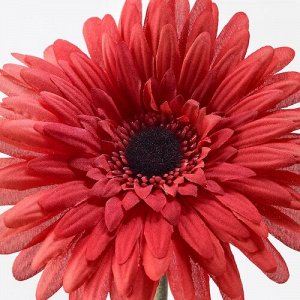 СМЫЧКА, искусственный цветок, Гербера/красный, 50 см