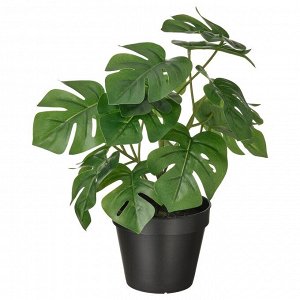 ФЕЙКА, искусственное растение в горшке, Монстера в помещении/ на открытом воздухе, 12 см