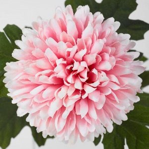 СМАЙКА, искусственный цветок, хризантема для настольного тенниса/светло-розовый, 56 см