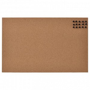 IKEA FLÖNSA, доска для заметок с булавками, пробковая, 52x33 см