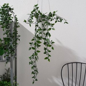 FEJKA, Искусственное растение в горшке, внутреннее/наружное/подвесное, 9 см