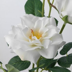 SMYCKA, искусственный цветок, внутри/ напольный/ Роза белая, 65 см,