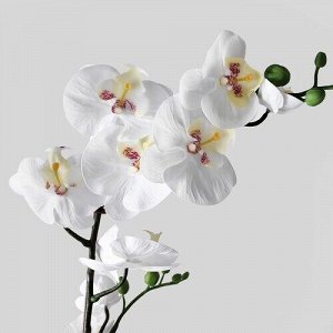 ФЕЙКА, искусственное растение в горшке, Орхидея белая, 12 см.