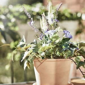MUSKOTBLOMMA, Цветочный горшок с блюдцем, терракотовый, внутренний/наружный, 12 см