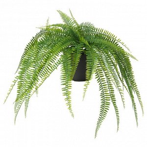 ФЕЙКА, искусственное растение в горшке, внутри/ для подвешивания на открытом воздухе/ папоротник, 12 см
