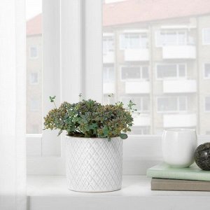 CHIAFRN, горшок для растений, белый, 9 см