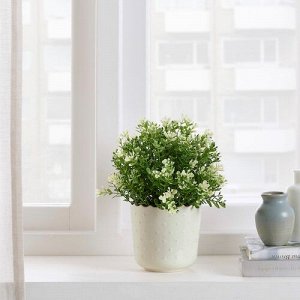 SESAMFRÖN, Цветочный горшок, внутренний/уличный, темно-белый, 9 см