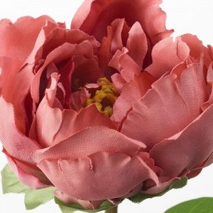 SMYCKA, Искусственный цветок, пион/темно-розовый, 30 см