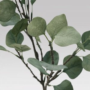 SMYCKA, искусственный лист, эвкалипт/зеленый, 65 см,