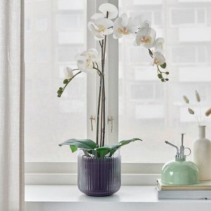 GRADVIS, горшок для растений, серый / уличный, 12 см