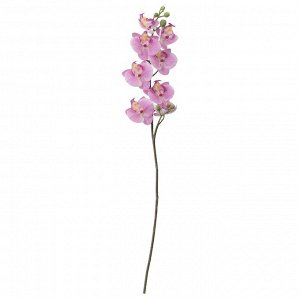 СМАЙКА, искусственный цветок, Орхидея/розовый, 60 см