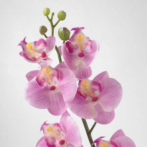 СМАЙКА, искусственный цветок, Орхидея/розовый, 60 см