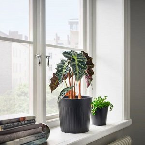 CITRONMELISS, горшок для растений, внутренний / уличный / антрацит, 19 см