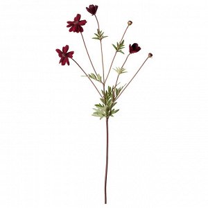 СМАЙКА, искусственный цветок, космос/ темно-красный, 65 см