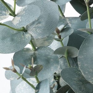 ФЕЙКА, искусственное растение в горшке, эвкалипт внутренний / уличный, 15 см