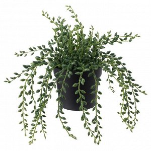 ФЕЙКА, искусственное растение в горшке, внутренняя/ наружная нитка бисера, 9 см