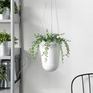 FEJKA, Искусственное растение в горшке, внутри/снаружи, нитка бисера, 9 см
