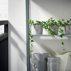 SKOGSVINBR, горшок для растений, серый для улицы, 9 см,