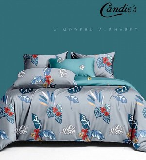 КПБ Поплин Коллекция: Candie's Pure Поплин
Размер товара: 1.5 спальный, 2 спальный, Евро, Семейный
1.5 спальный: пододеяльник 150х220 см, простыня 150х220 см, наволочка 70х70 см - 2 шт.
2 спальный: по