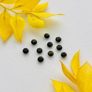 Бусины для украшений из золотистого Обсидиана (10 шт)