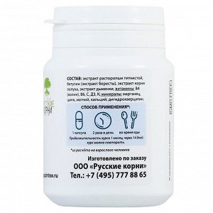 Алтаведъ Расторопша, бетулин, лопух (60 капсул по 0,5 г), АлтайКор